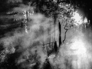 Panoramic view of trees on landscape against sky