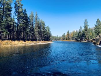 Scenic view of lake against clear blue sky