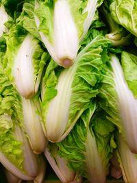 High angle view of vegetables