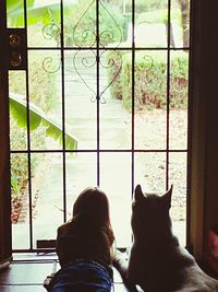 Cat looking through window