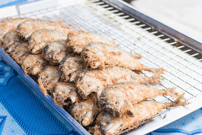 Close-up of fish mackerel fried