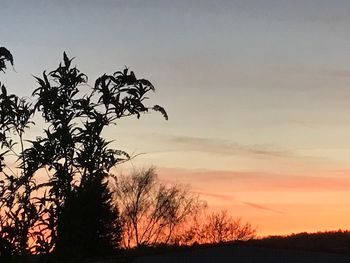 Silhouette trees against sky during sunset