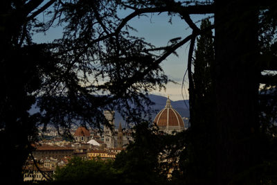 View of trees and building against sky