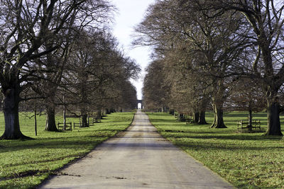 Road amidst trees in park