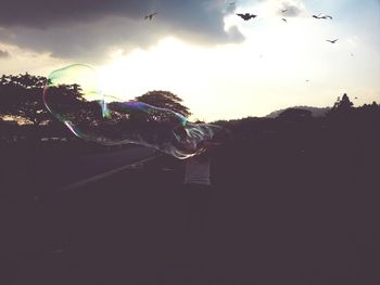 Bird flying over cloudy sky