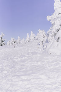 Snow covered land against sky