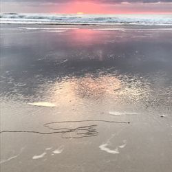 Close-up of beach against sky during sunset