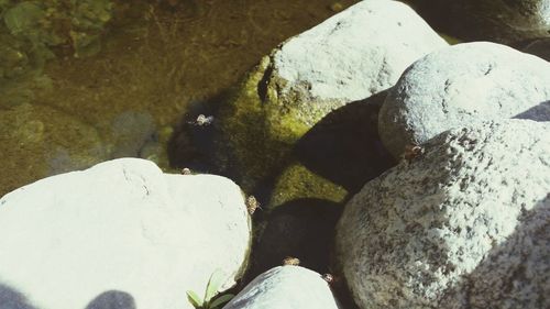 Rocks in sea