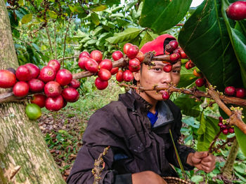 Low angle view of person holding fruits on tree