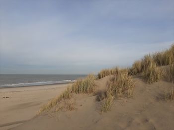 Scenic view of beach against sky
