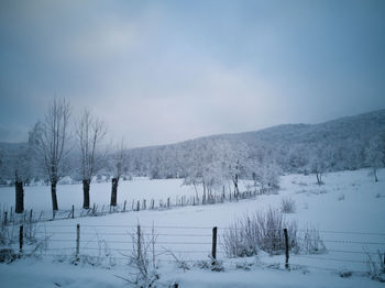 Scenic view of snow covered field against sky