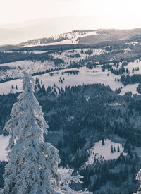 High angle view of snow covered landscape