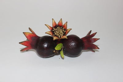 High angle view of fruits against white background