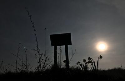 Low angle view of silhouette plants on field against sky at sunset