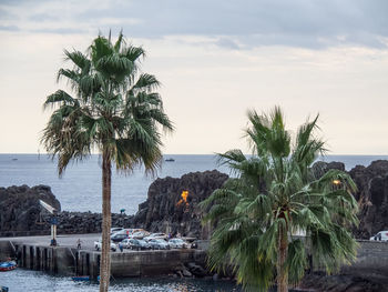 The island of madeira