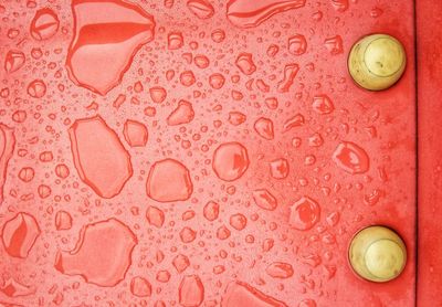 Close-up of water drops on strawberry