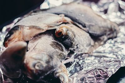 Close-up of frozen fish on foil for sale at market stall