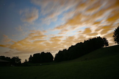 Silhouette trees on field against sky during sunset