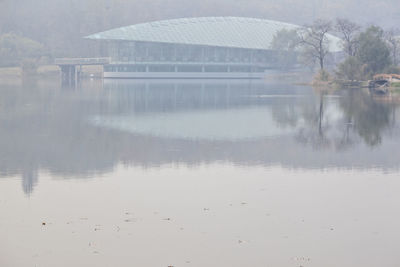 Reflection of trees in water