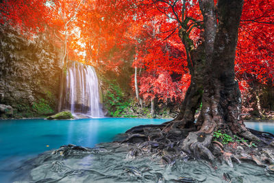 Scenic view of waterfall in forest during autumn