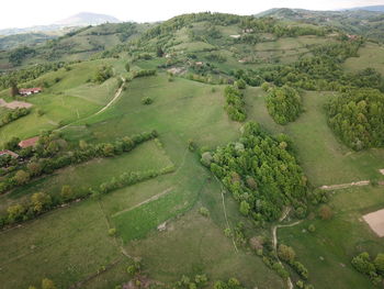 High angle view of agricultural field