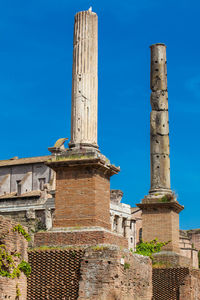 Honorary columns at the roman forum in rome