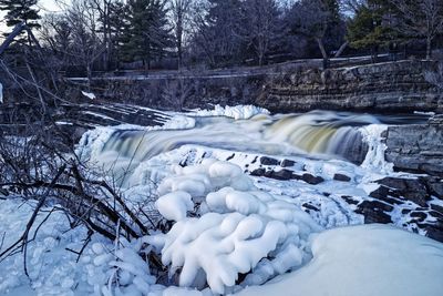Snow covered land and trees in forest