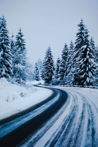 Snow covered road amidst trees against sky