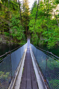 Footbridge amidst trees in forest