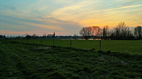 Scenic view of grassy field against sky