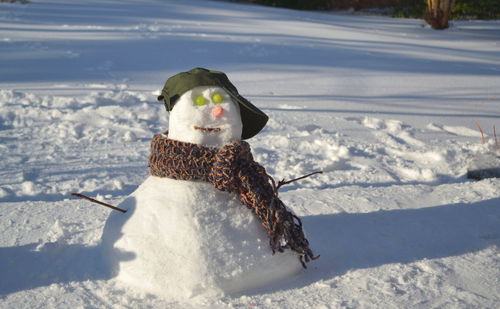 Snowman on field 