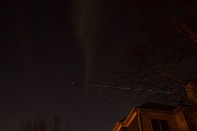 Low angle view of trees against sky at night