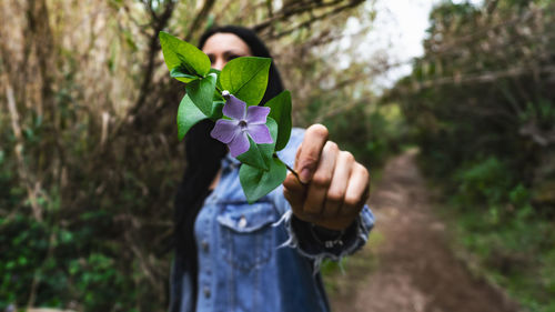 Midsection of person holding purple flowering plant