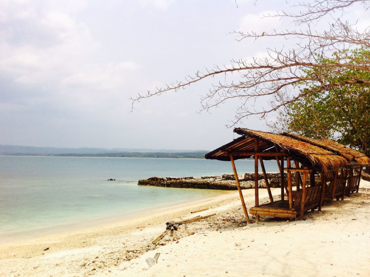 sea, beach, water, horizon over water, shore, sand, tranquility, sky, tranquil scene, scenics, nature, beauty in nature, wood - material, tree, built structure, idyllic, pier, day, outdoors, coastline