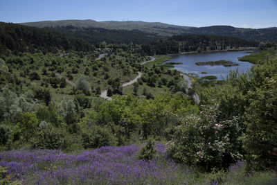 Scenic view of landscape and mountains against sky