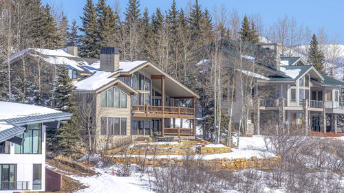 Snow covered houses by trees and buildings during winter