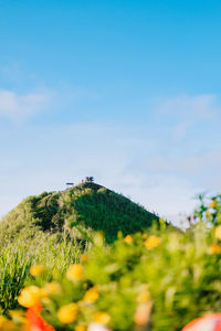 Scenic view of grassy field against sky