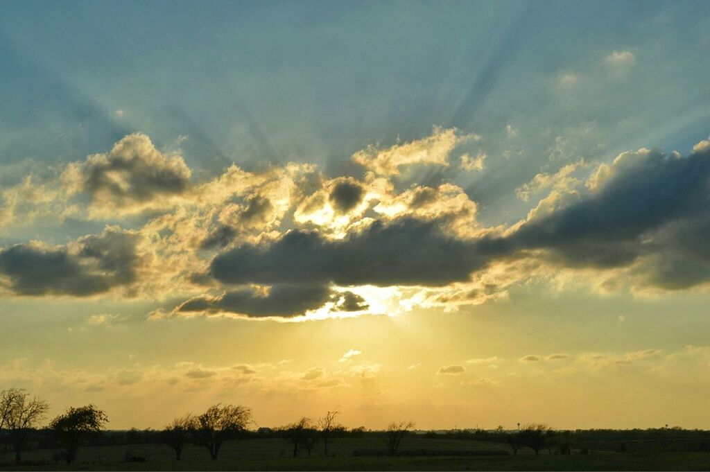 sky, tranquil scene, sunset, landscape, tranquility, scenics, beauty in nature, field, cloud - sky, nature, silhouette, cloud, idyllic, cloudy, horizon over land, tree, sunlight, outdoors, non-urban scene, rural scene