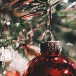 Close-up of christmas ornament hanging on christmas tree