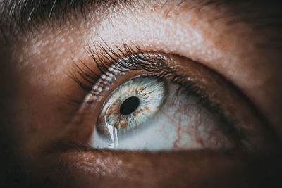 Close-up of human eye