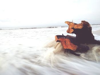 View of a beach