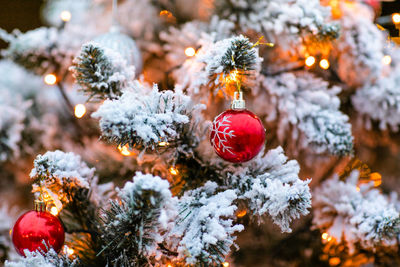 Close-up of christmas tree in snow