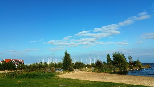 Scenic view of landscape against clear sky