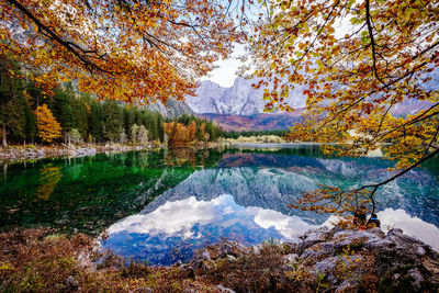 Scenic view of lake in forest during autumn