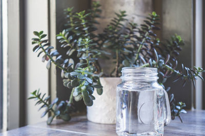 Vintage of glass jar and plant in the background with shallow depth of field depth of field