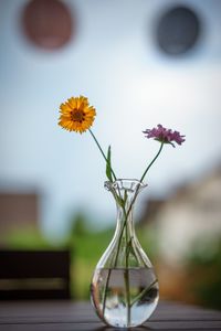 Close-up of flower vase on table