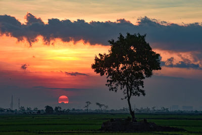 Scenic view of field against sky during sunset