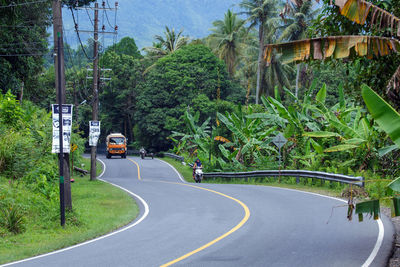 Cars on street against trees in city