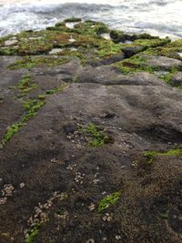 Rocks in sea