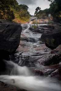 Scenic view of waterfall in forest